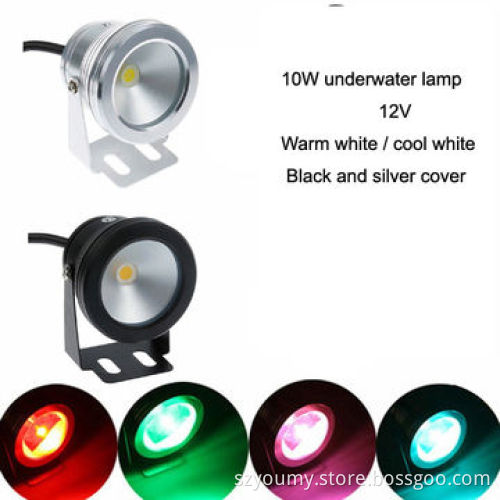 10W 12V underwater Cool white IP68 fountain pool Lamp, silver or black cover body